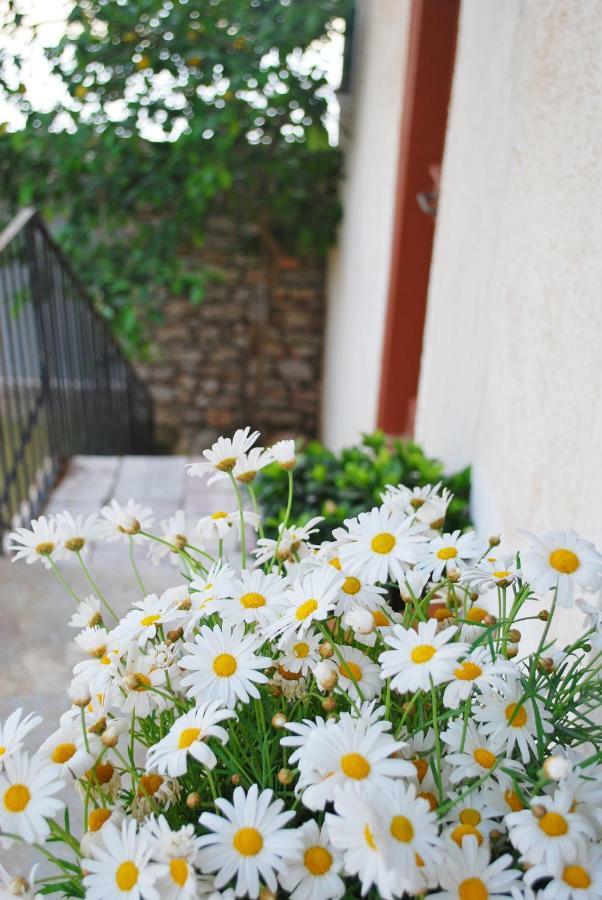 Villa "Pietra E Mare" Ναύπακτος Εξωτερικό φωτογραφία